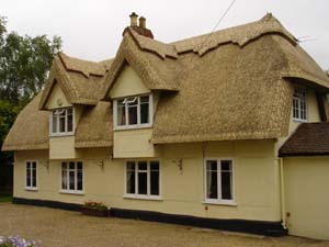 New Thatched Roof