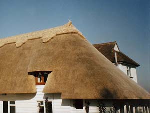 Wheat Reed Thatching