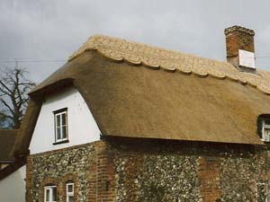 Water Reed Thatched Roof